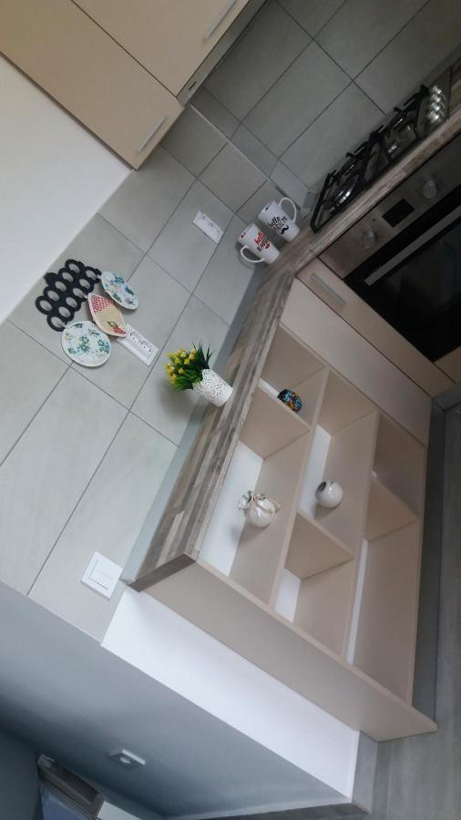 Cazare Apartament Rasnovアパートメント エクステリア 写真