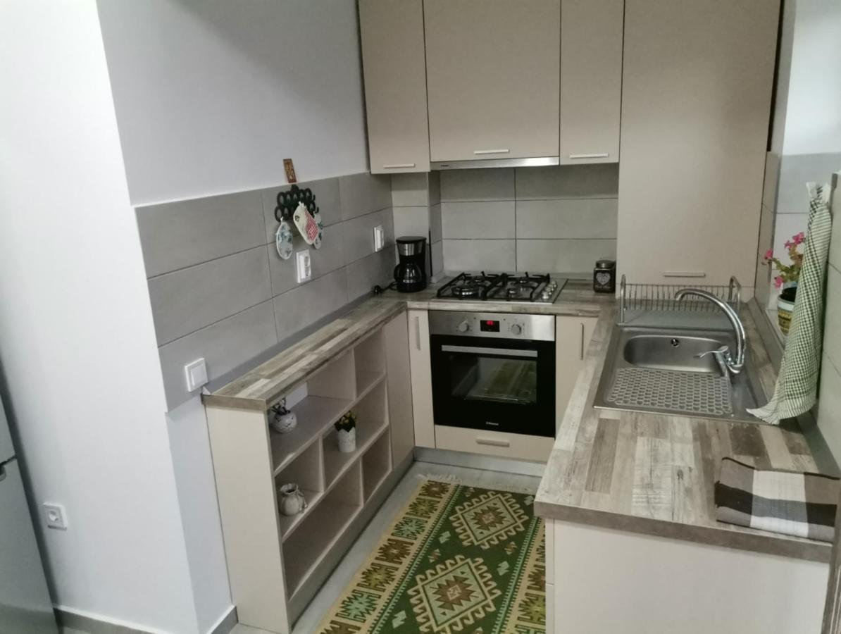 Cazare Apartament Rasnovアパートメント エクステリア 写真